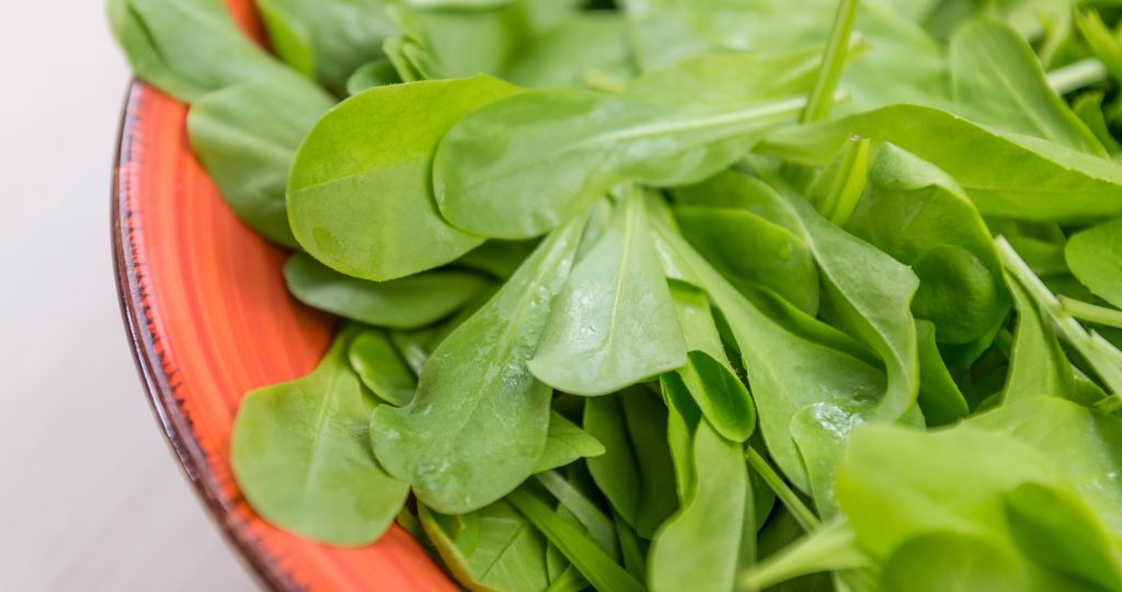 Radicchietto verde adatto alla preparazione di insalate fresche