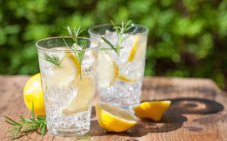 gin fizz con rosmarino e limone ricetta per cocktail